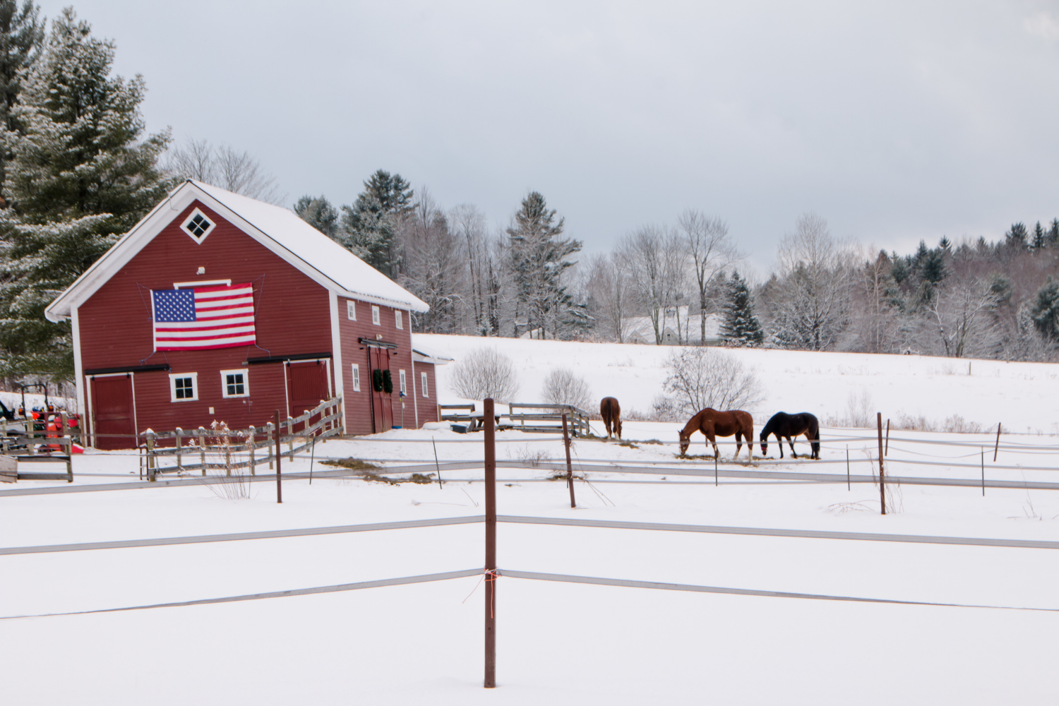 A red barn and horses in the winter