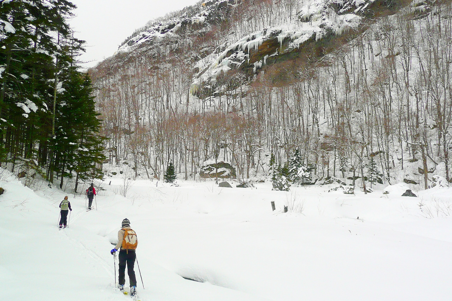 A group snowshoeing in Waterbury